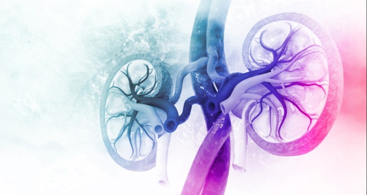 bobreklerinizi boyle koruyun Lr5CgxJw