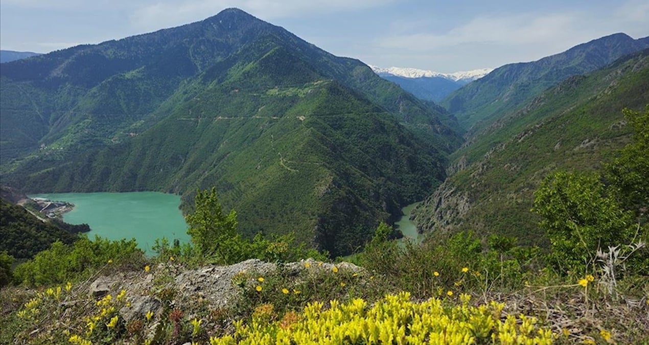 karadenizin en saglikli sehri belli oldu Q4kLQ51N