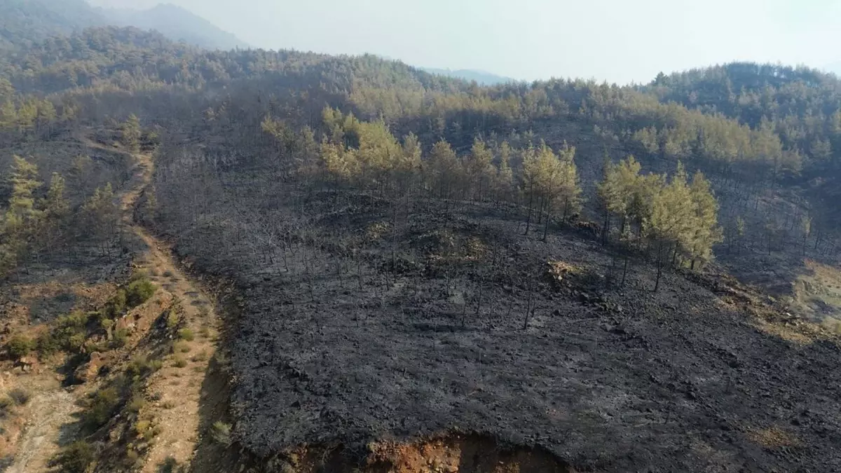 yangin alanlari dronla goruntulendi vgFQEbNw