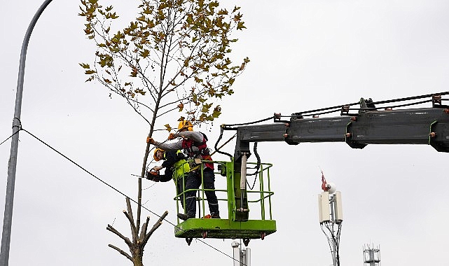 maltepede budama zamani rJzYkKf3.jpg