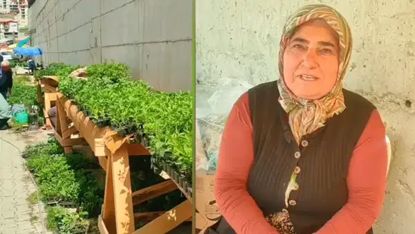Yusufeli’nde Fide Satış Kısıtlaması Üreticileri Üzüyor: Cezalarla Karşı Karşıyalar