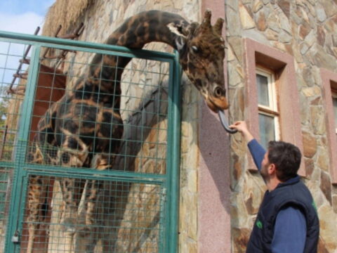 Gaziantep Hayvanat Bahçesi’ndeki Durum TBMM’de Tartışmaya Açıldı