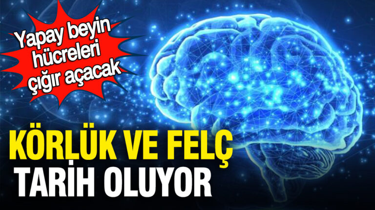 yapay-beyin-hucreleri-cigir-acacak-korluk-ve-felc-tarih-oluyor-nN9FT3Bk