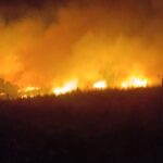 Haber gorseli