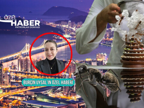Michelin yildizli restoranda karincali tatli skandalindaki yeni gelismeler pdde 12 bin 274 porsiyon satti PamCj6Sf